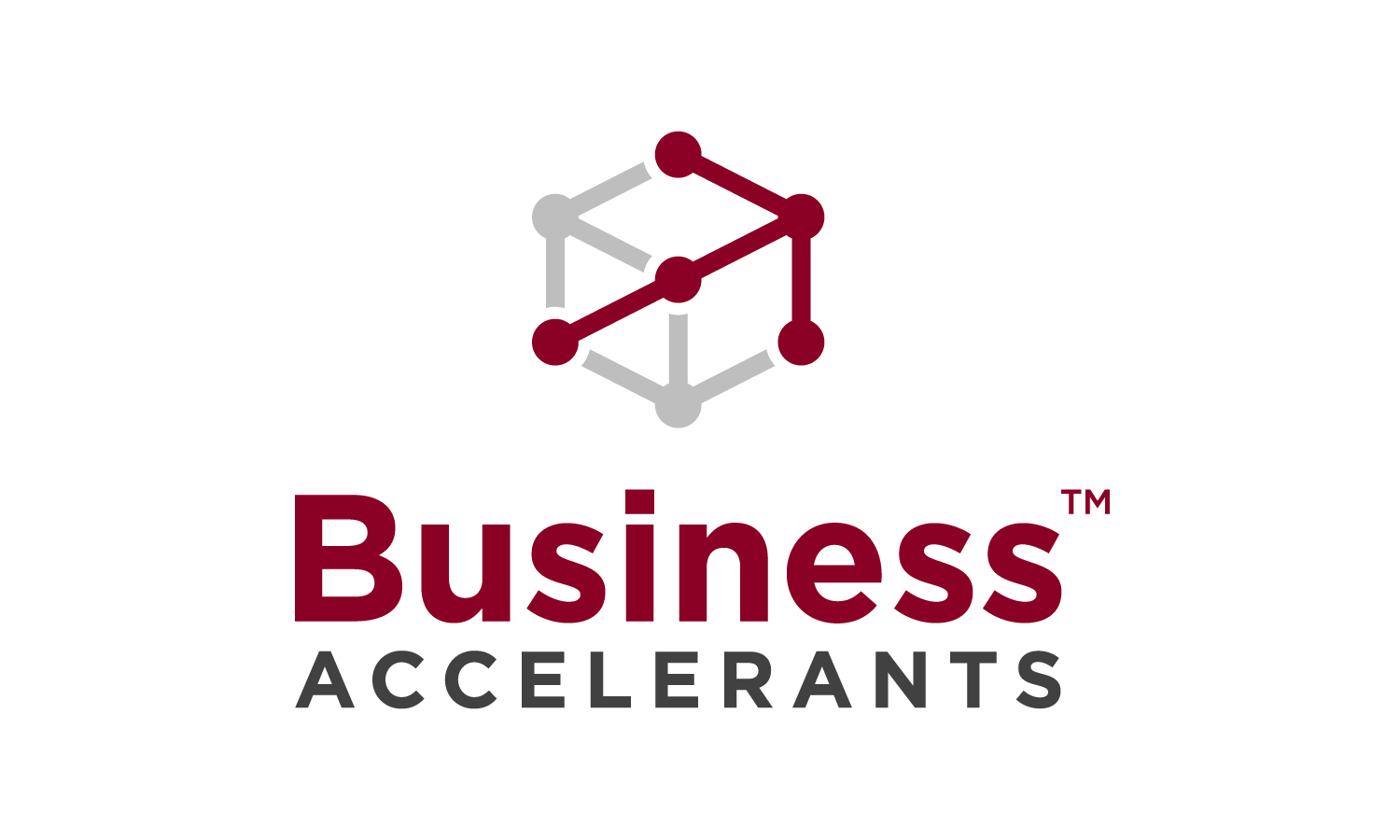 Business Accelerants  Paul Menig