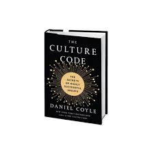 Culture Code Book Image
